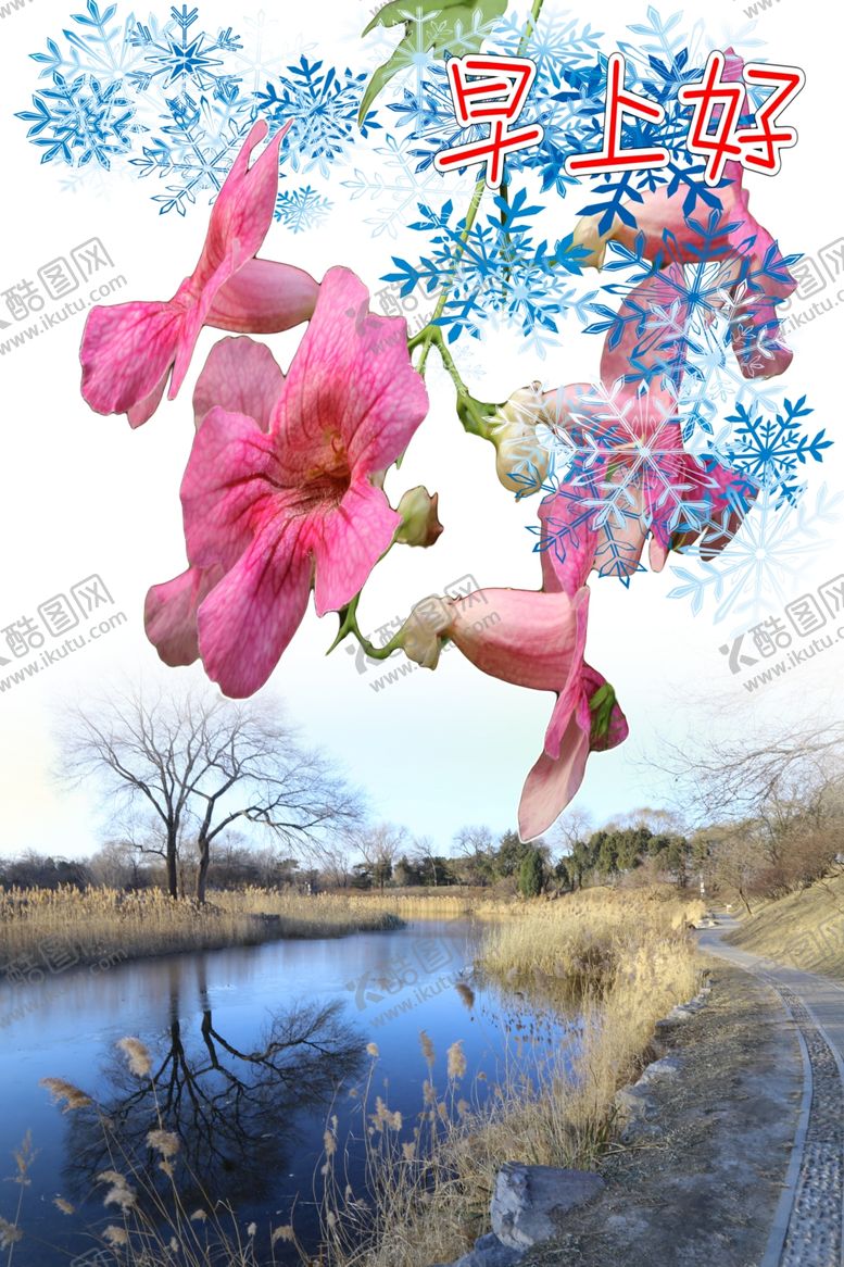 编号：60517310100949429799【酷图网】源文件下载-非洲凌霄