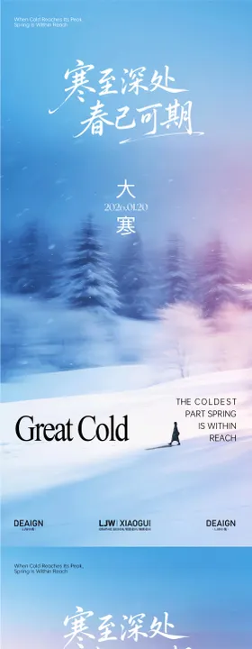 地产大寒意境海报