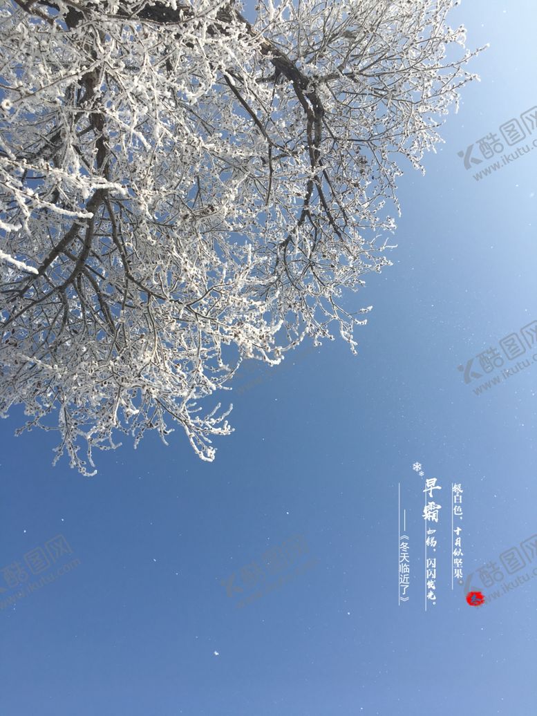 编号：10727310290431186636【酷图网】源文件下载-冬日霜景