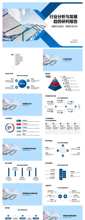 行业分析与发展趋势研判报告