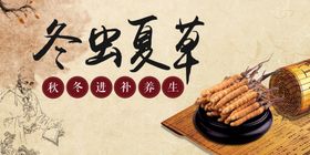 冬虫夏草梅花传统文化水墨
