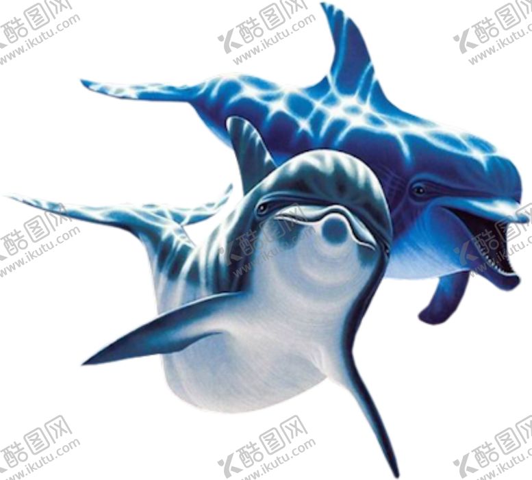 编号：88775601180812266890【酷图网】源文件下载-海豚