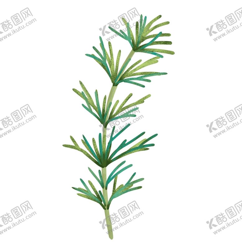 编号：30097606291118452321【酷图网】源文件下载-迷迭香