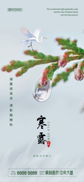 寒露节气海报