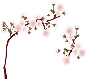 桃花樱免扣朵背景粉色