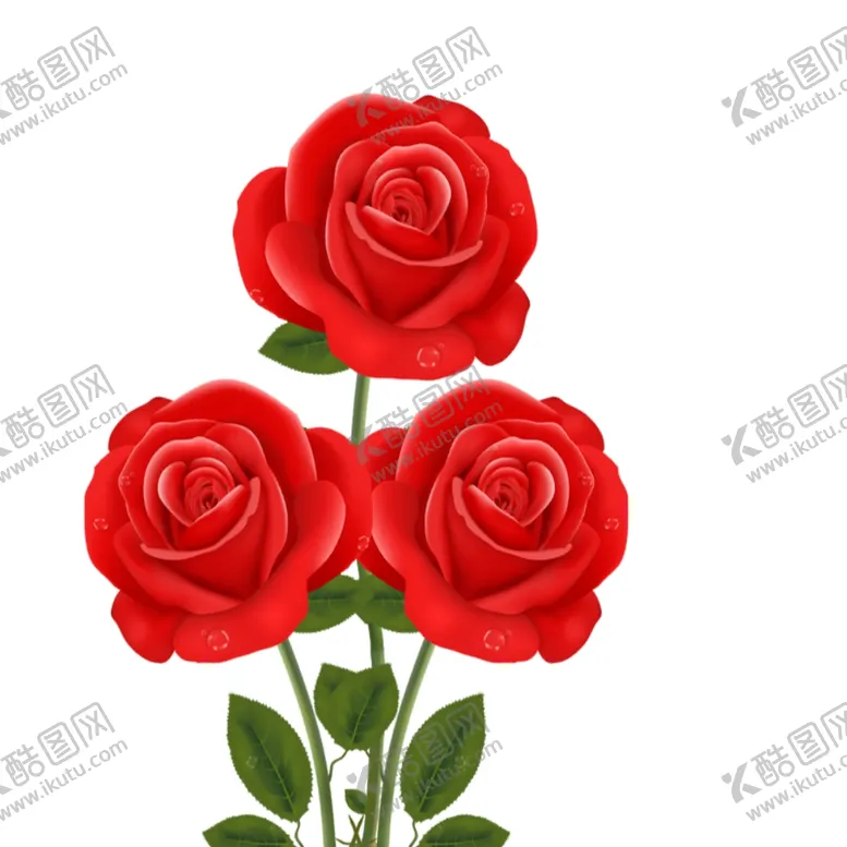 编号：56659312130621364425【酷图网】源文件下载-玫瑰花