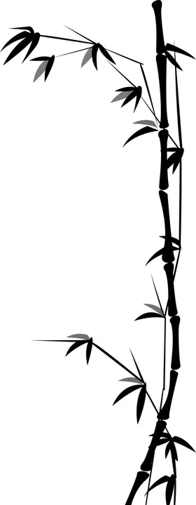 竹子素材