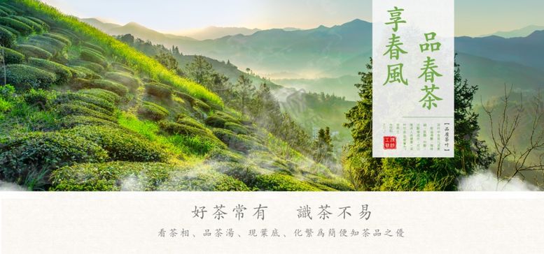 编号：20095910310813509259【酷图网】源文件下载-茶叶海报新茶上市创意海报