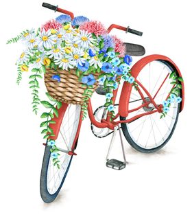 花蓝自行车