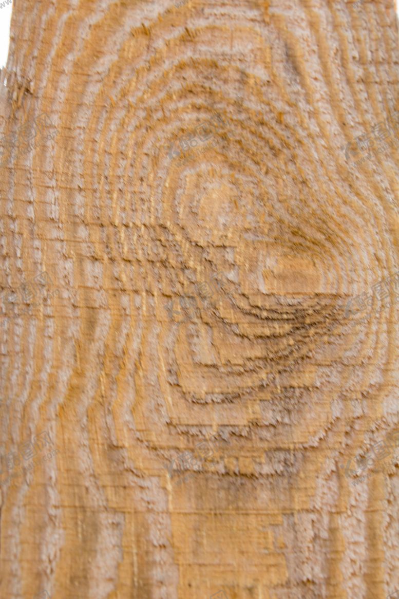 编号：88061109240407594556【酷图网】源文件下载-树皮