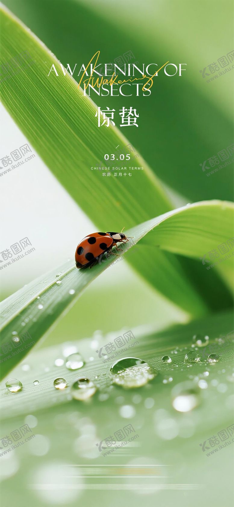 编号：62329602281859389678【酷图网】源文件下载-惊蛰节气海报