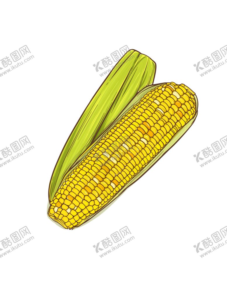 编号：81822111301347135305【酷图网】源文件下载-手绘玉米