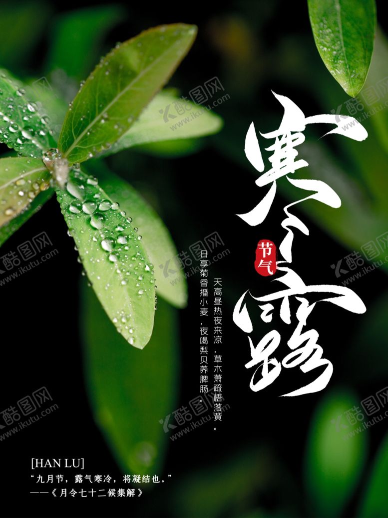编号：27860203291652113533【酷图网】源文件下载-寒露高清宣传海报