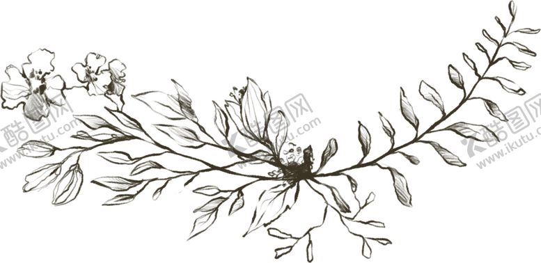 编号：20450909121928588100【酷图网】源文件下载-彩绘植物边框