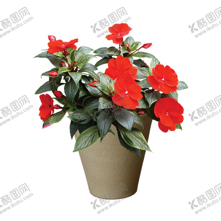 编号：27447010282250242629【酷图网】源文件下载-绿色装饰