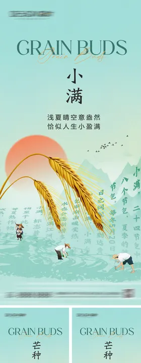 小满芒种节气海报二十四地产麦穗插画