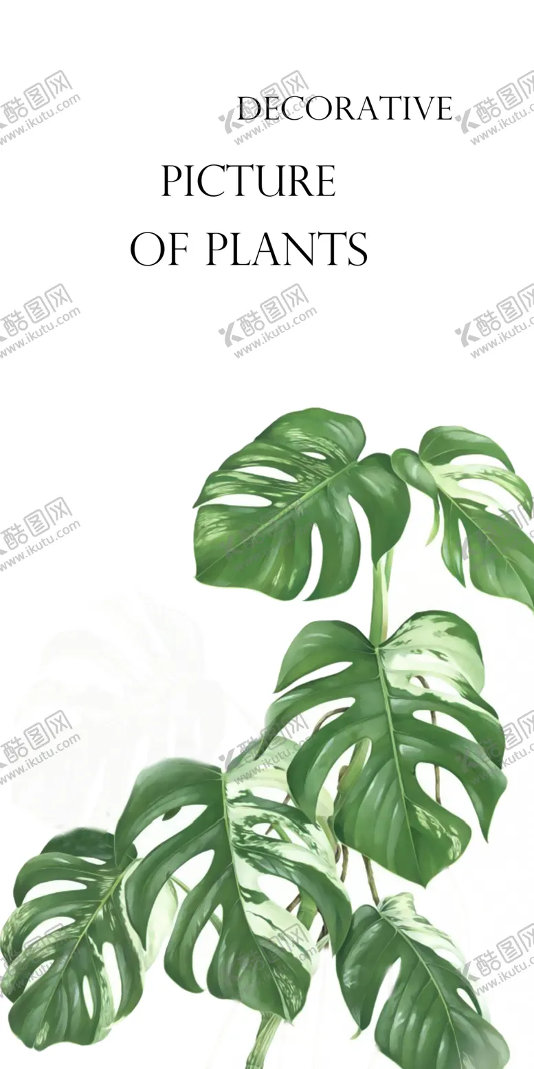 编号：24515702070257132622【酷图网】源文件下载-植物花草装饰挂画