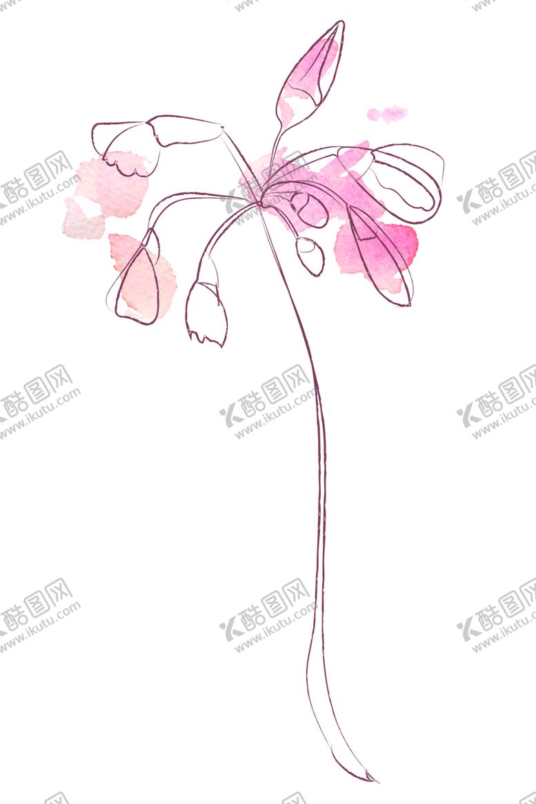 编号：13742506242323568416【酷图网】源文件下载-植物手绘水彩