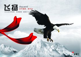 文采飞扬