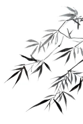 水墨竹子元素中国风素材手绘背景