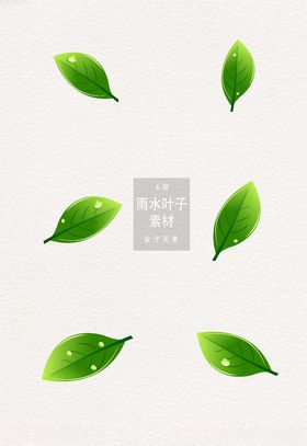 叶枝设计元素