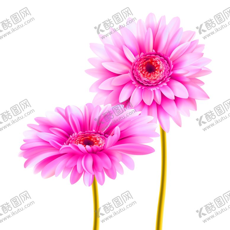 编号：11671707071336544064【酷图网】源文件下载-花素材