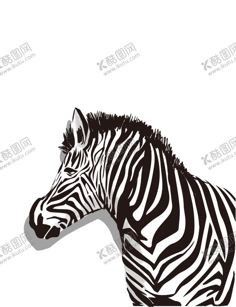 编号：64186909150713094002【酷图网】源文件下载-斑马装饰画