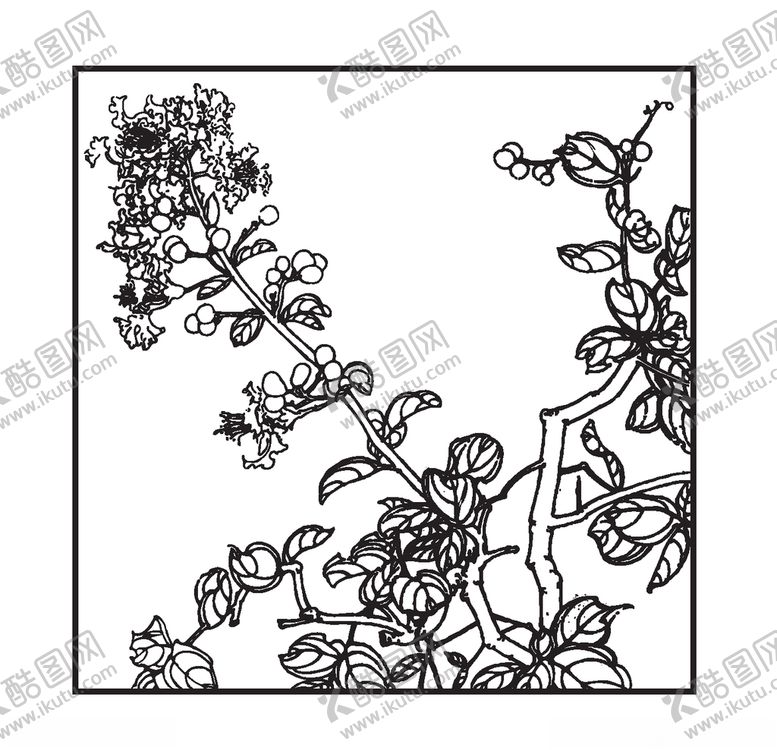 编号：43182607141013478796【酷图网】源文件下载-百日红
