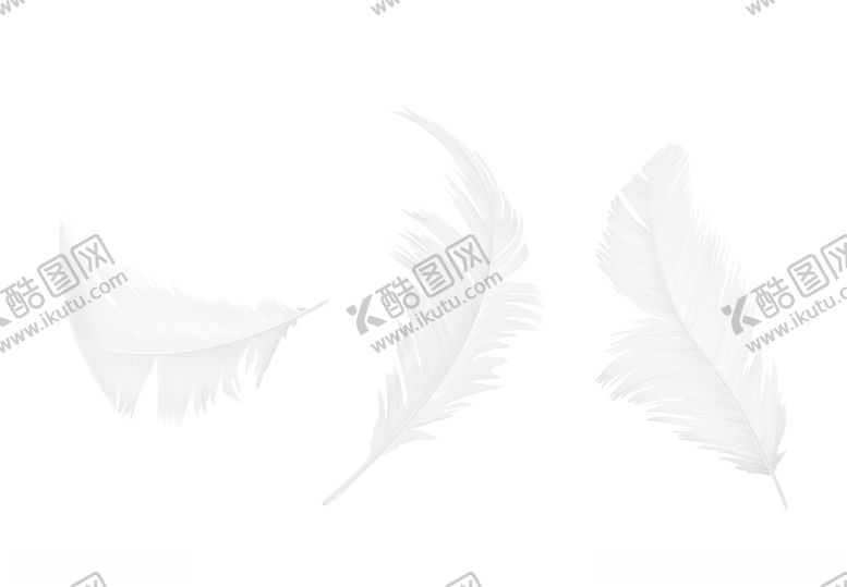 编号：38373007131812453566【酷图网】源文件下载-羽毛