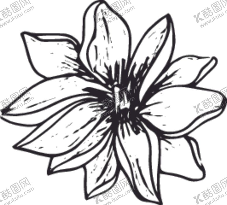 编号：95669810011536336868【酷图网】源文件下载-手绘花卉元素