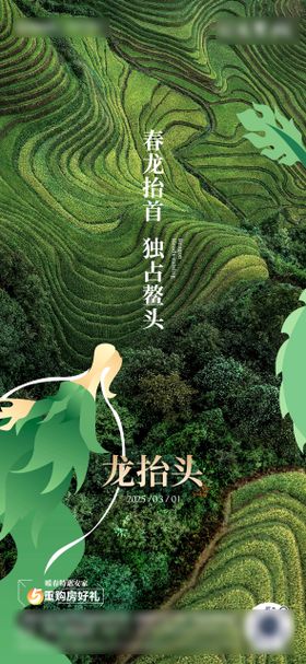 龙抬头海报中国传统节日腾创意春天