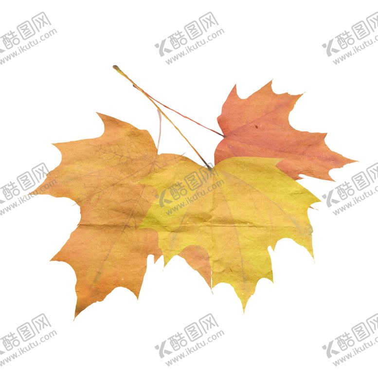 编号：78125206281053431354【酷图网】源文件下载-秋天素材