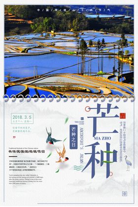 芒种海报