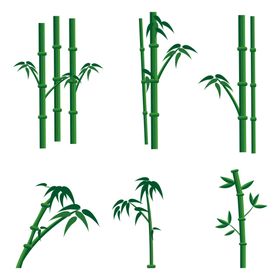 竹子