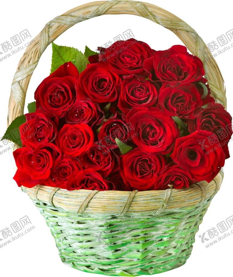 编号：32195409110844162074【酷图网】源文件下载-玫瑰花