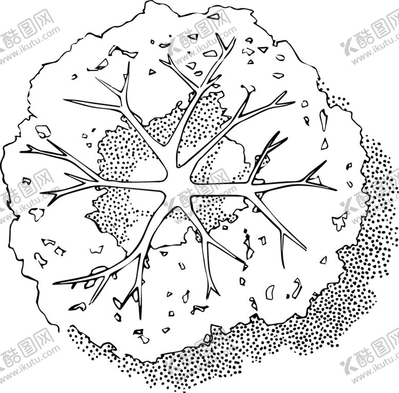 编号：45237809302218222986【酷图网】源文件下载-手绘植物