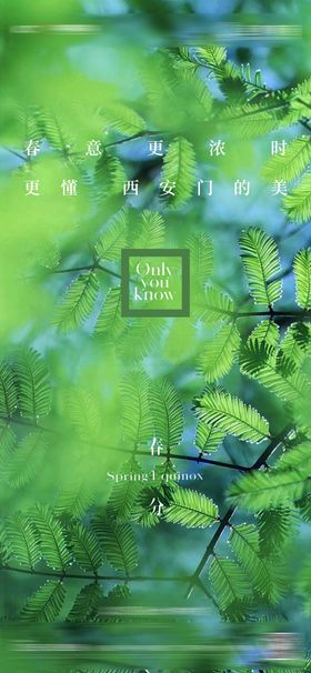 二十四节气春分立春海报