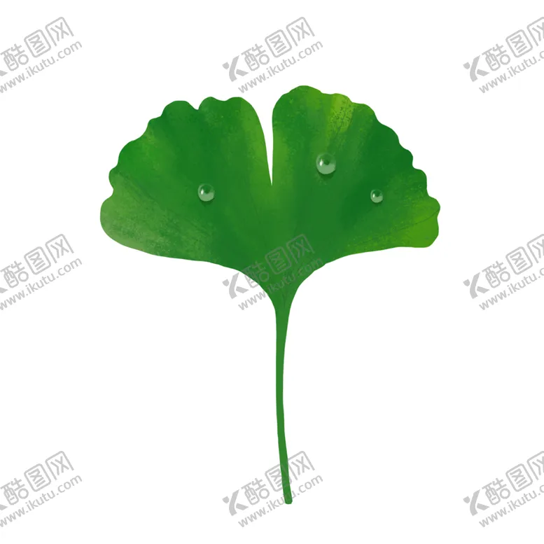 编号：18167504210724287939【酷图网】源文件下载-秋天银杏叶