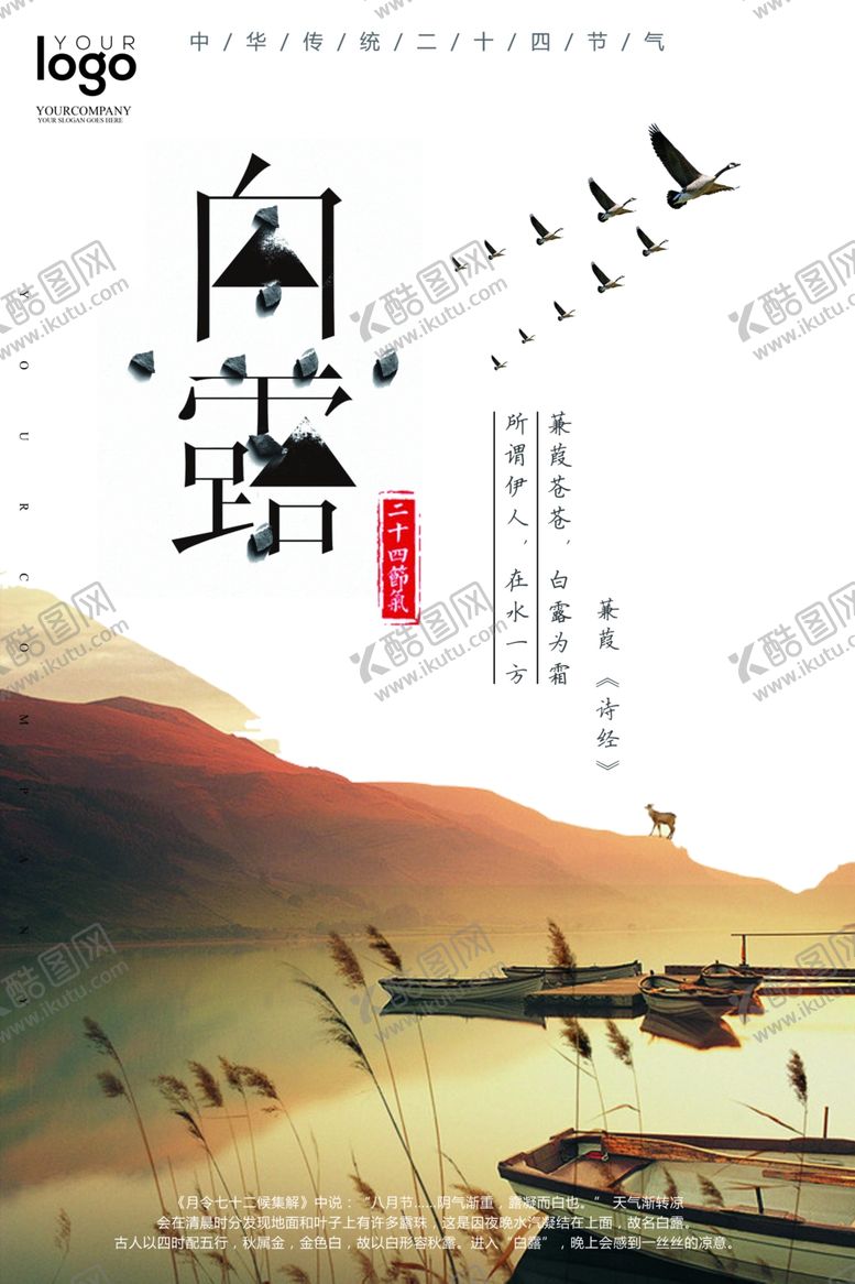 编号：20007307021608119680【酷图网】源文件下载-白露海报