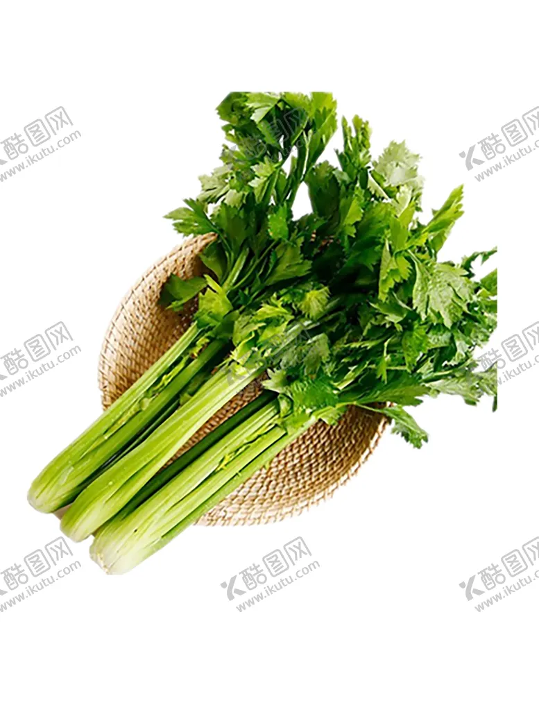 编号：56538603160321087782【酷图网】源文件下载-芹菜