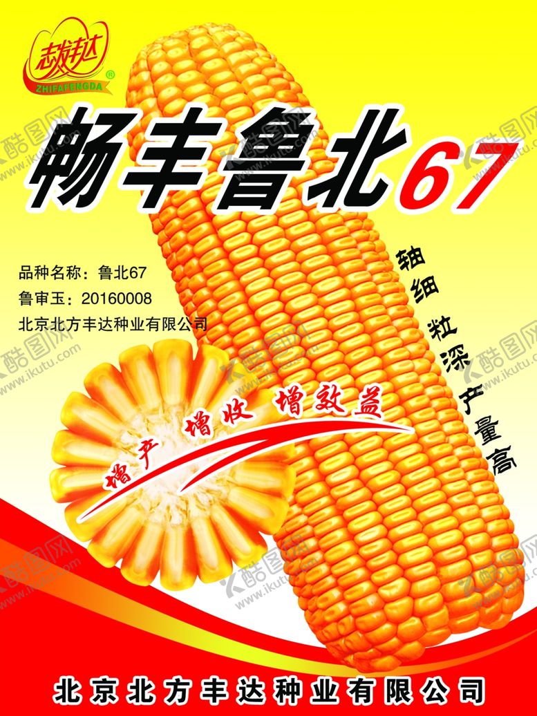 编号：72611005031331531926【酷图网】源文件下载-玉米海报