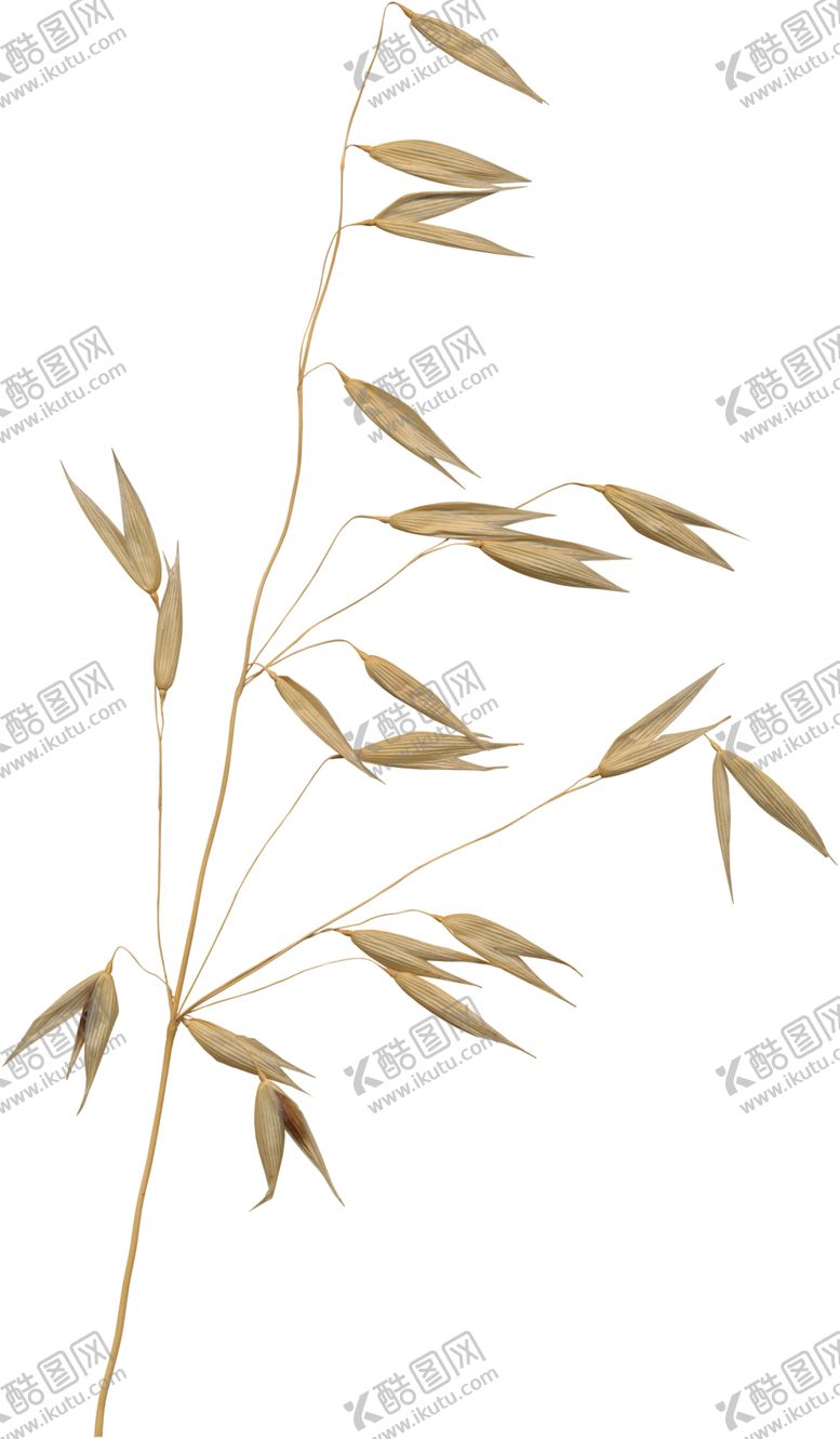 编号：69866506281014122918【酷图网】源文件下载-大麦