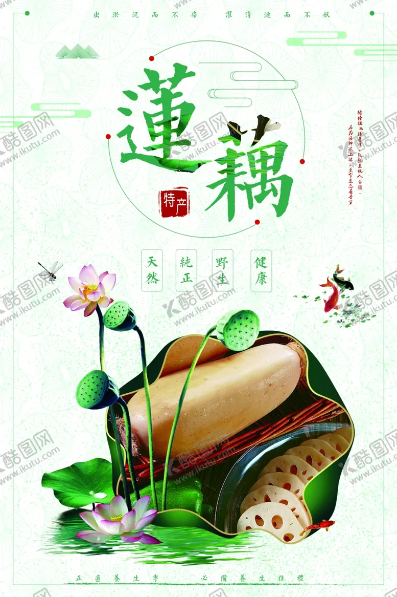编号：39166605010415524246【酷图网】源文件下载-莲藕海报