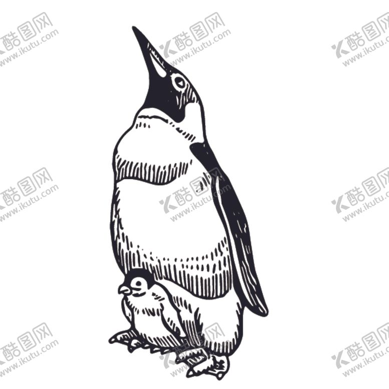 编号：57263109190749097562【酷图网】源文件下载-飞鸟线稿绘画图案