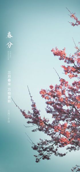春分节气海报地产地产闪屏