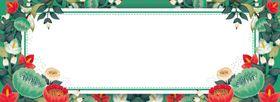 简约植物夏季海报banner