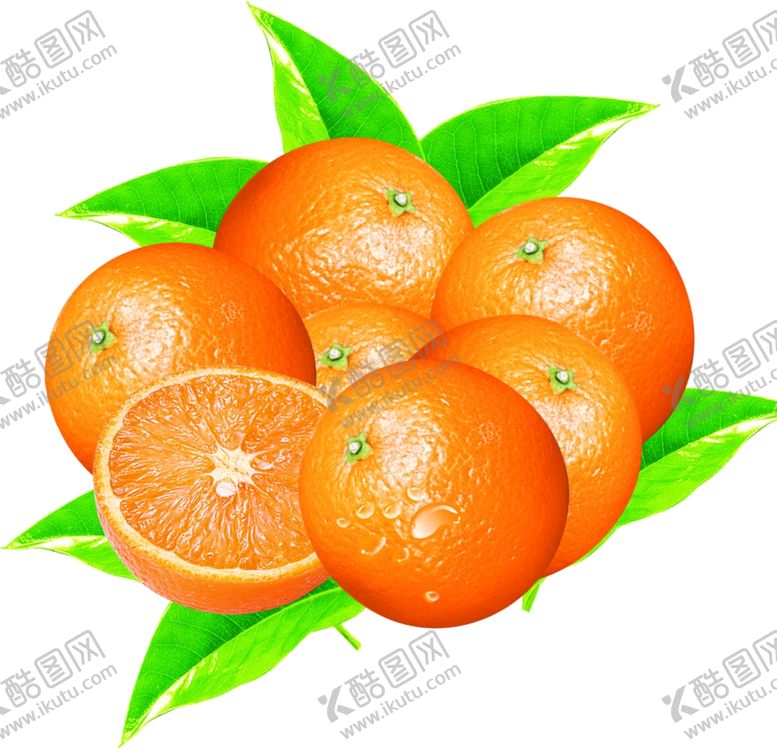 编号：26928010232211586163【酷图网】源文件下载-橙子