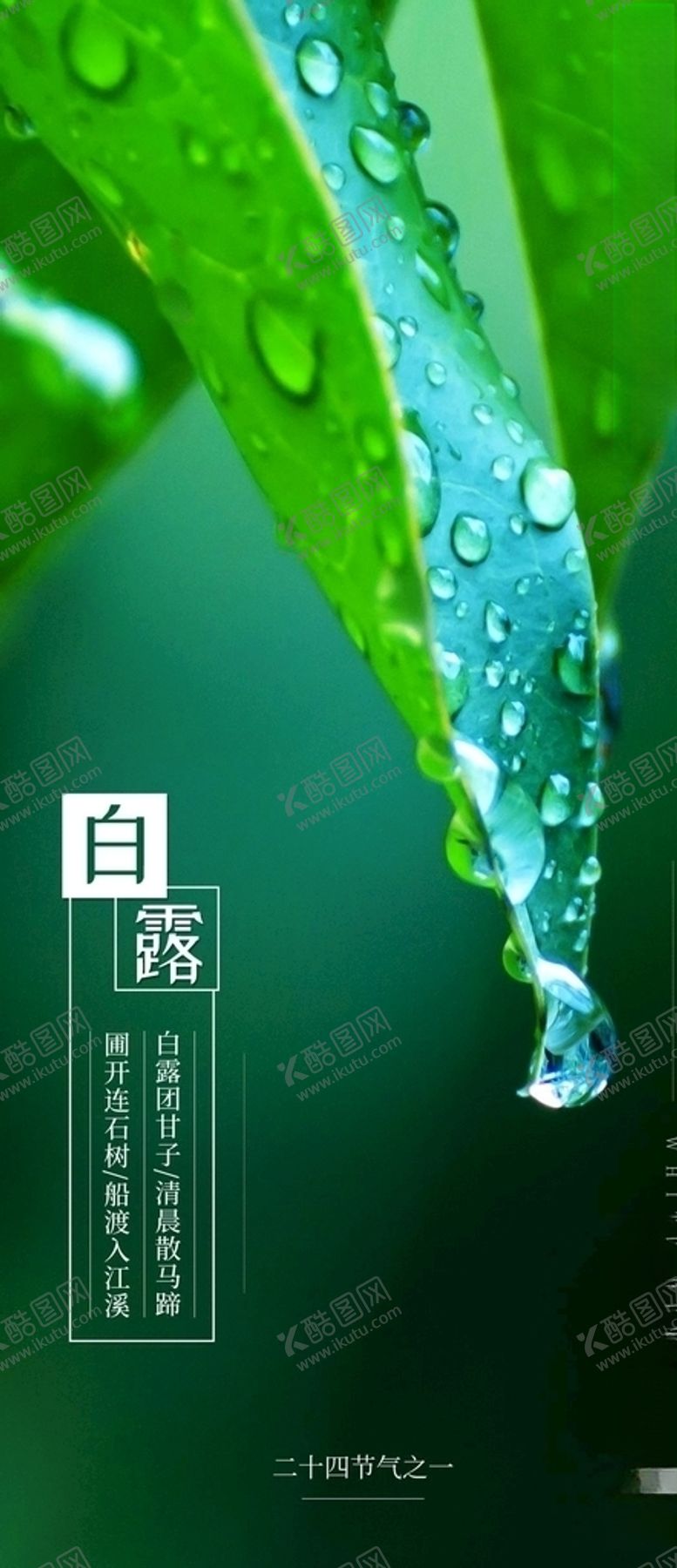 编号：11344705141900135835【酷图网】源文件下载-白露