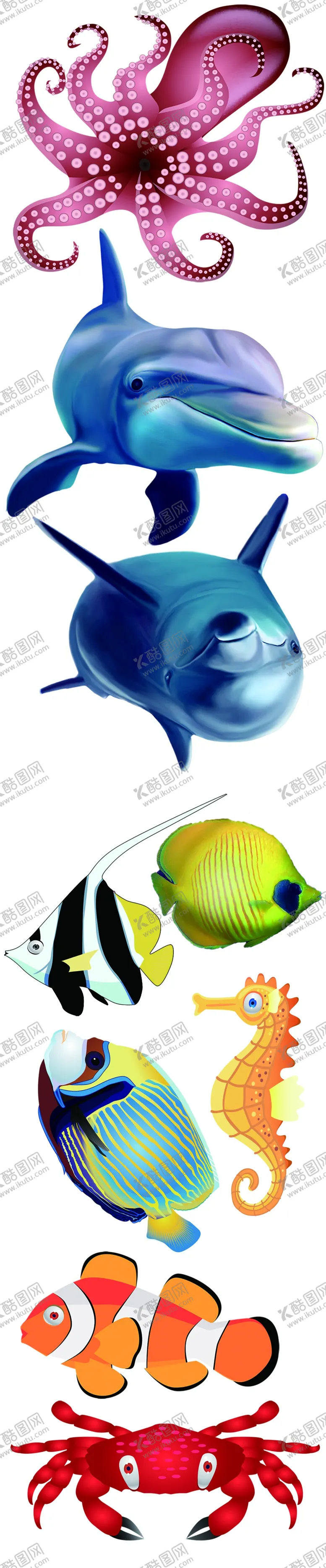 编号：34545205051736244450【酷图网】源文件下载-海洋动物