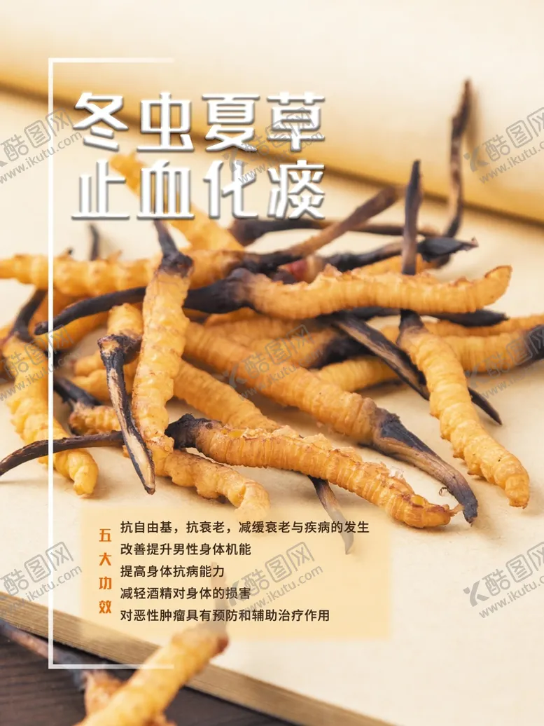 编号：30598609172333325126【酷图网】源文件下载-冬虫夏草